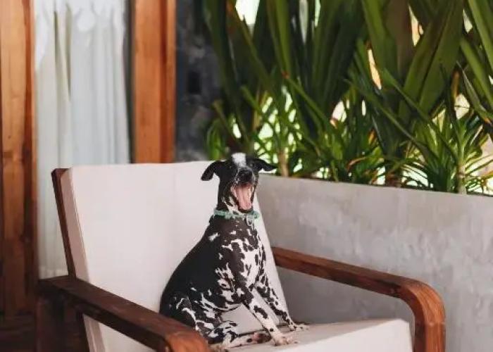 Naked Hotel Zipolite