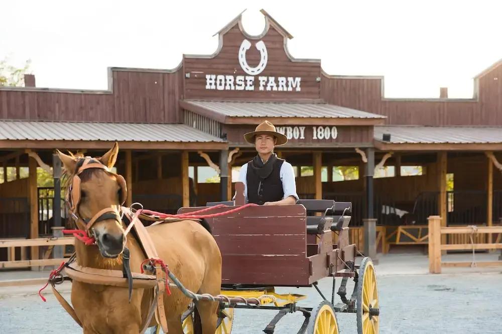 фото The Verona at Tub Lan (SHA Certified)