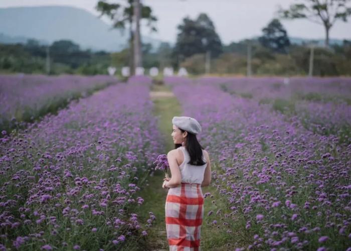 Verona Boutique Hotel