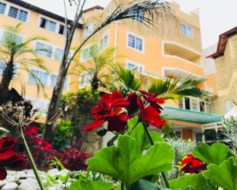 Hotel & Suites Cerro Rojo