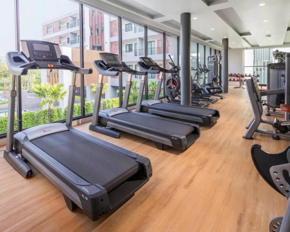 фото The Canal 304