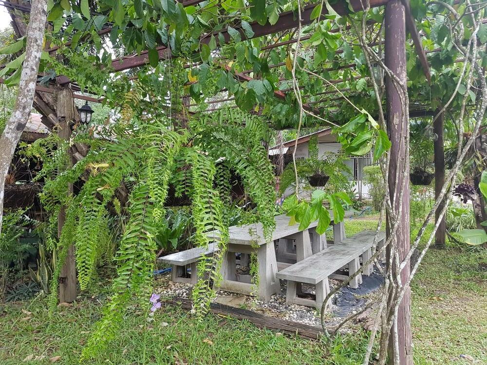 фото Saksupha Resort