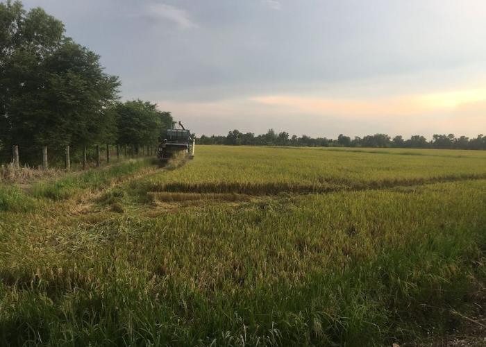 Baan Suan View Dee Homestay