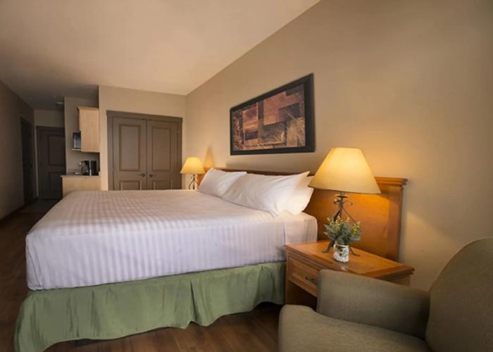 Palliser Lodge