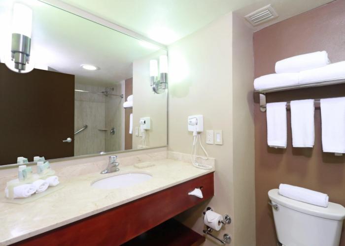 Holiday Inn Express Guadalajara Aeropuerto by IHG