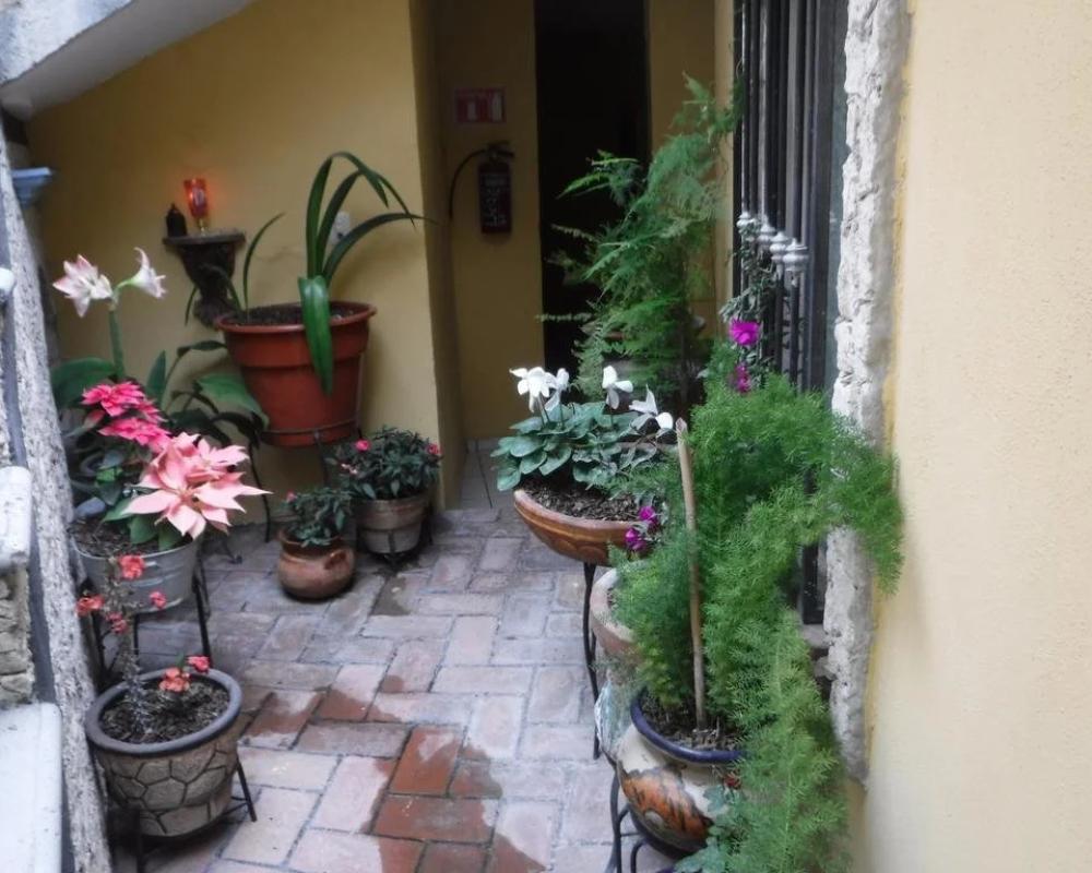 фото Hotel Chely