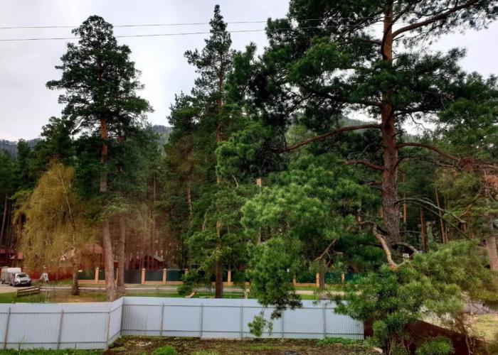 Beringiya Guest House