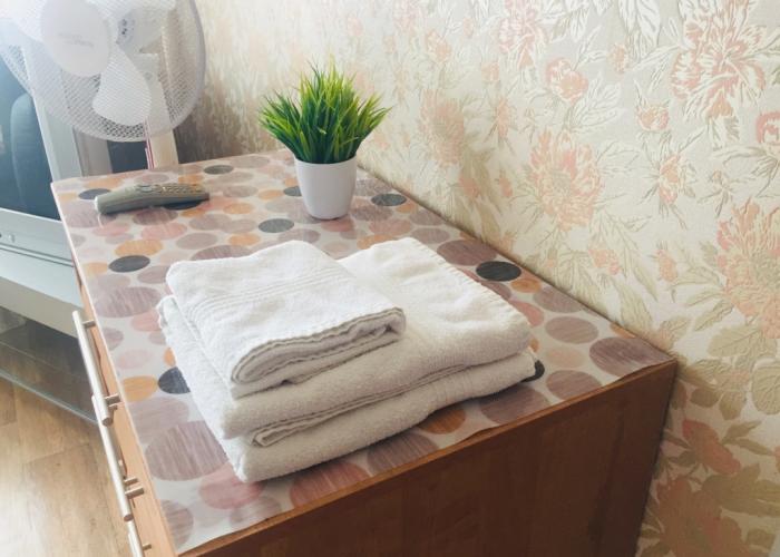 Apartamenty V Tsentre - Gagarina 9 Flat