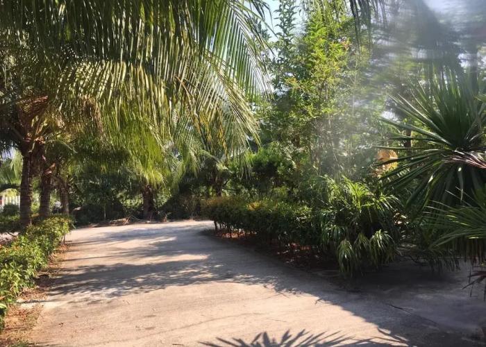 Palm Payom Village Resort