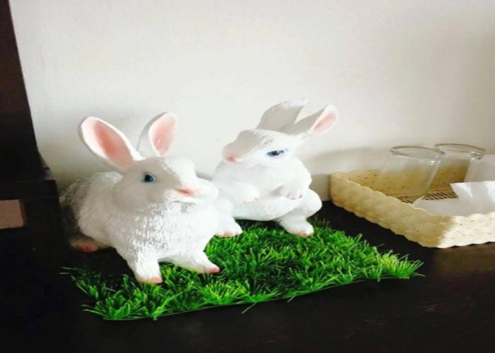 Cozy Rabbit Hotel