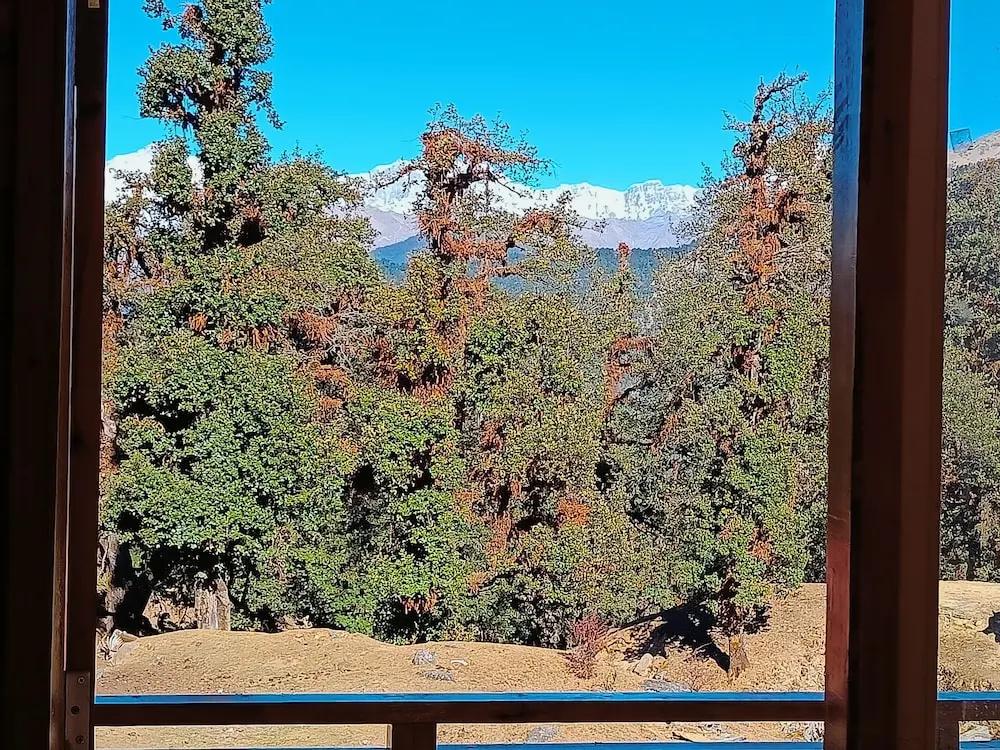 фото Chopta Resort