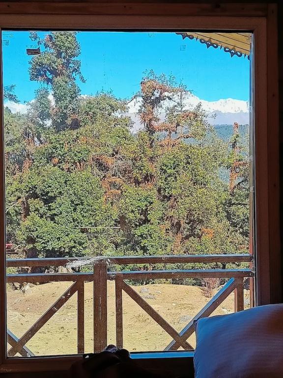 фото Chopta Resort