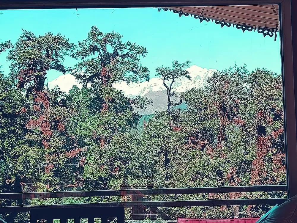 фото Chopta Resort