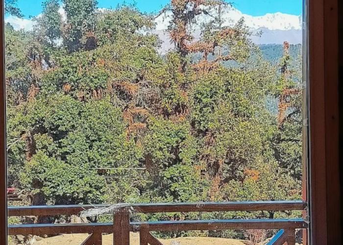 Chopta Resort