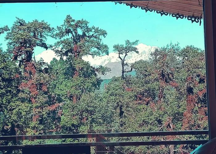 Chopta Resort