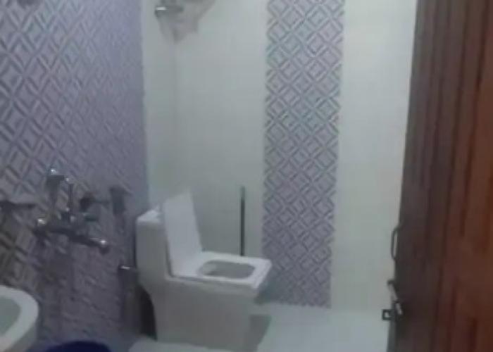 Pine Palace Homestay