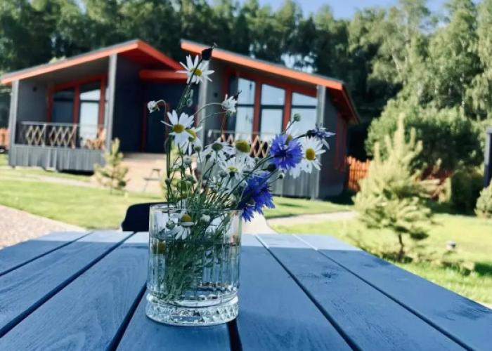 Ruza River Club Glamping