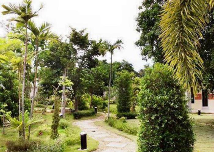 Nan at Pua