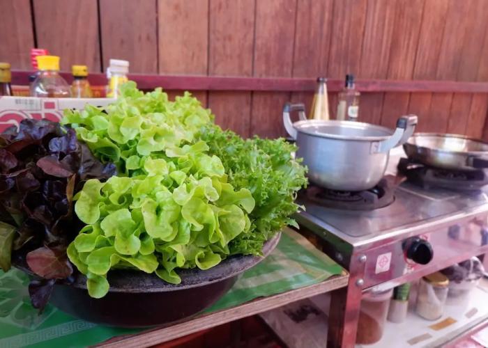 Peaceful Homestay and Camping at KhaoKho