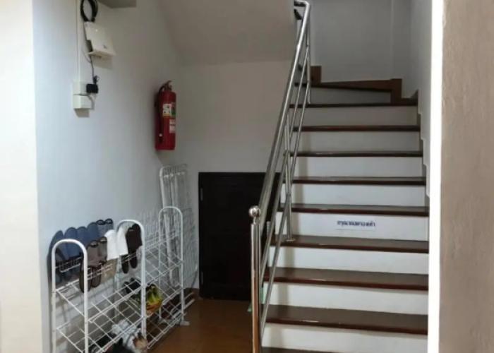 Rabbit Hostel