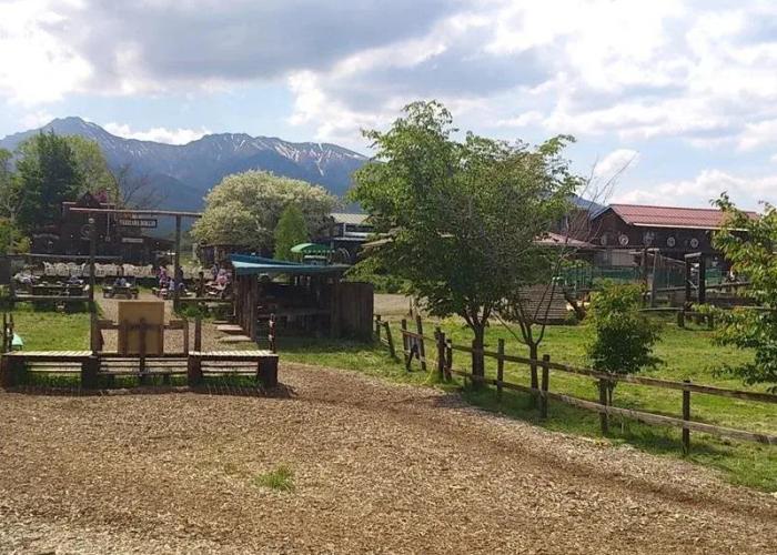 Izumigo Yatsugatake Dog Paradise Cottage
