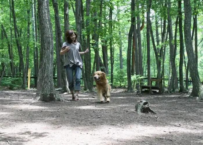 Izumigo Yatsugatake Dog Paradise Cottage