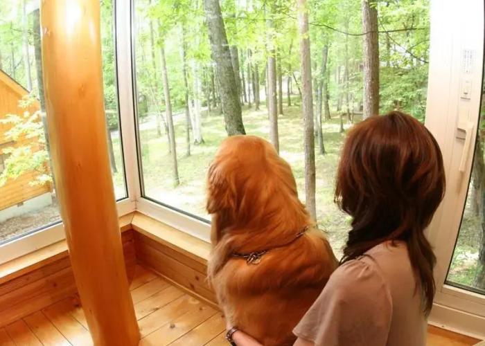 Izumigo Yatsugatake Dog Paradise Cottage