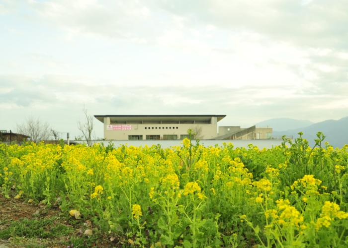 Heidi's Village Spa & Restaurant Hotel Clarakan