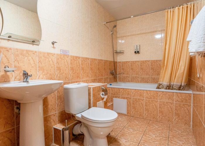 Hotel ALTAY Gold