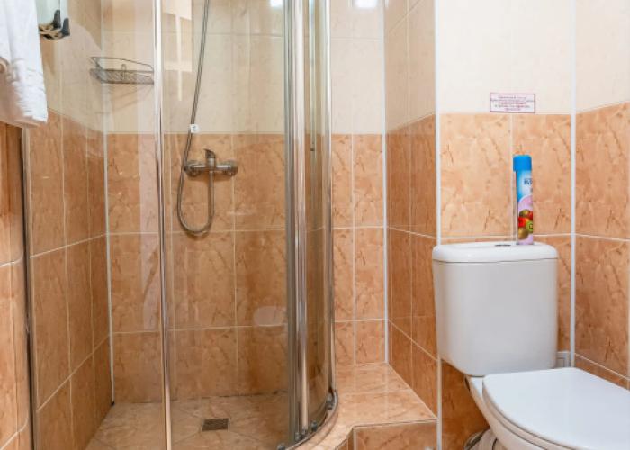 Hotel ALTAY Gold