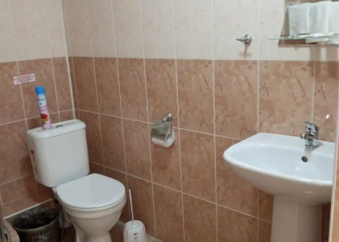 Hotel ALTAY Gold