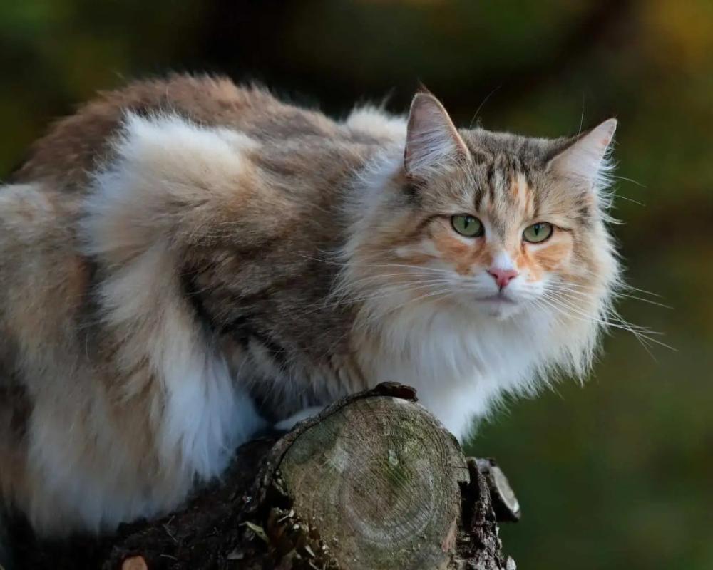 Test Hotel (Do Not Book)