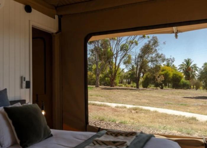 CANVS by CABN Seppeltsfield Barossa