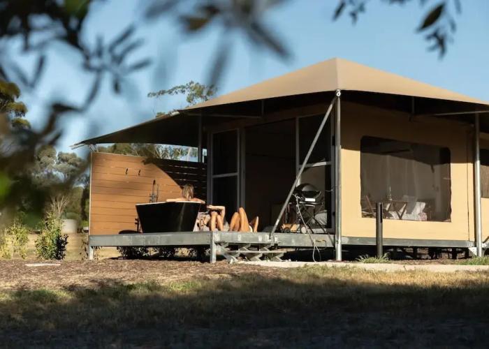 CANVS by CABN Seppeltsfield Barossa
