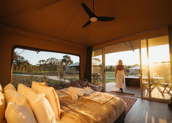 CANVS by CABN Seppeltsfield Barossa