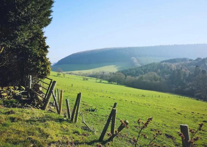 2 x Double Bed, Glamping Wagon in Dalby Forest