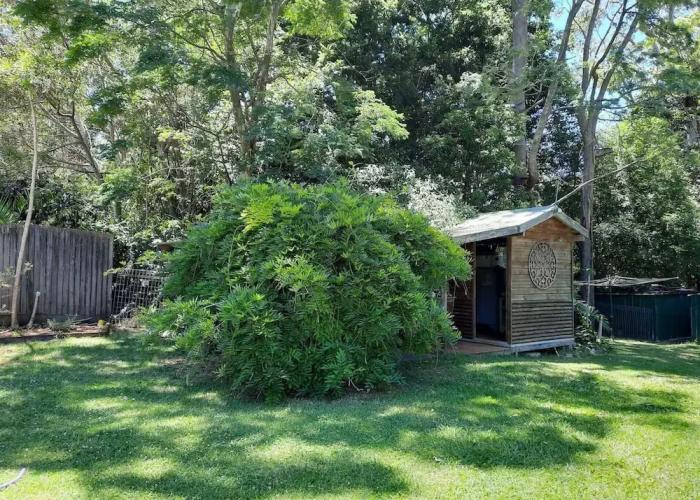 Maleny District - Charming Cottage in Witta 2 Beds