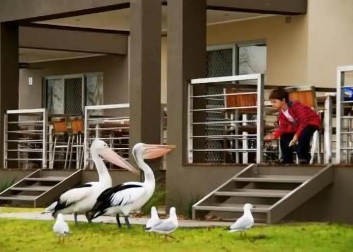 Ski Club Holiday Park