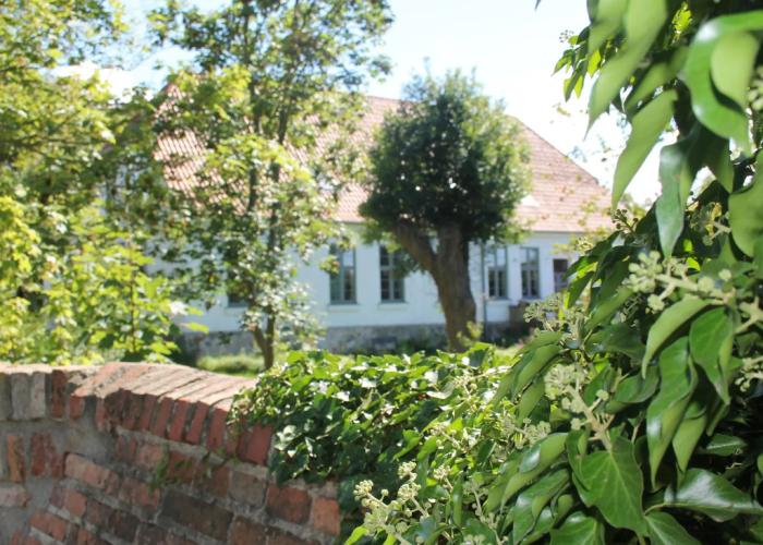Ferienwohnung in Steffenshagen mit Garten
