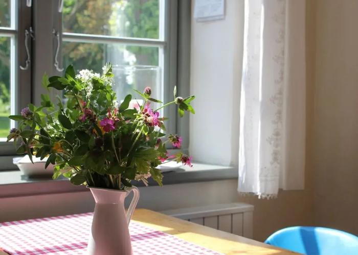 Ferienwohnung in Steffenshagen mit Garten