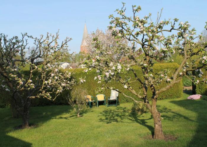 Wohnung mit Grossem Garten an der Ostseekueste