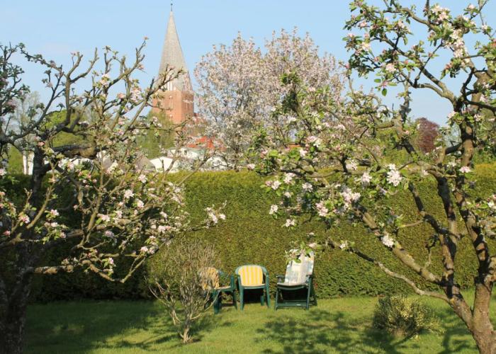 Wohnung mit Grossem Garten an der Ostseekueste