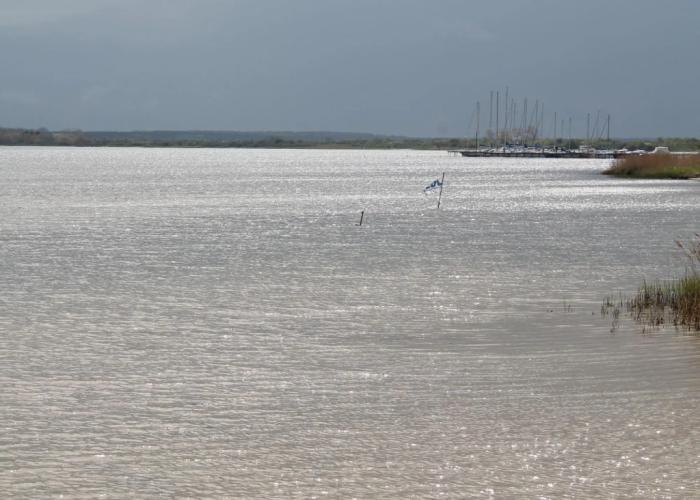 Charmante Ferienwohnung mit Garten in Wiek