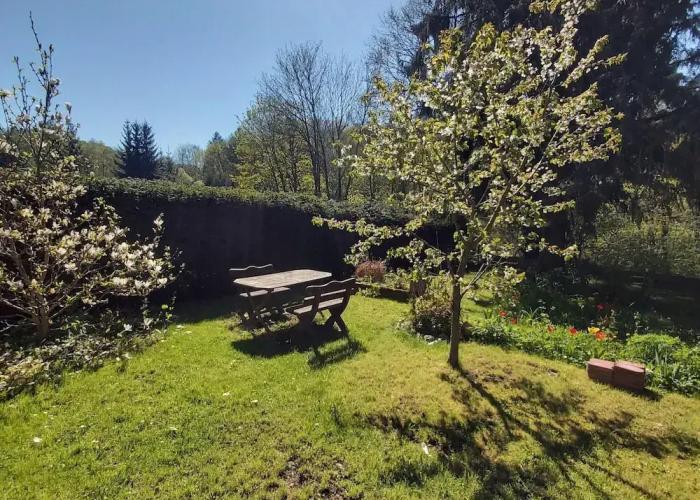 Apartment in Thale - Altenbrak With Garden