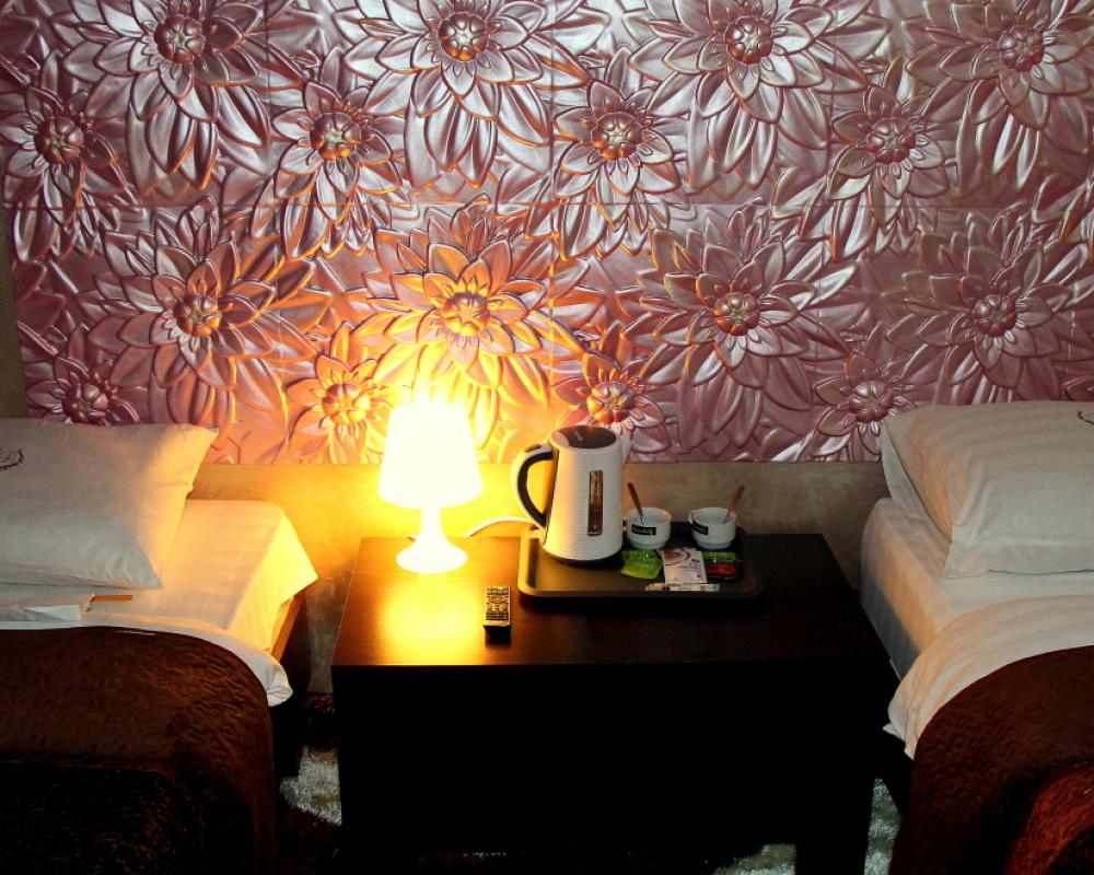 Diadema Sheremetevo Guest House