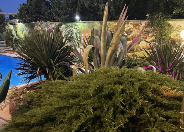 Vitaliya Guest house