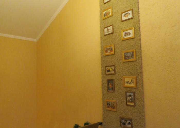 Kot I Koshka Guest House