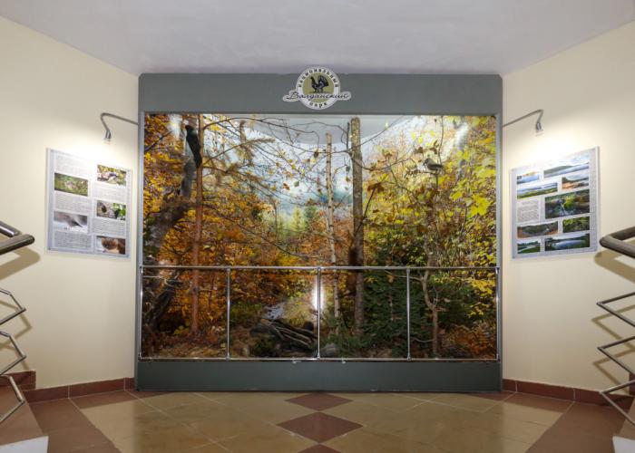 Natsionalnyij Park Valdajskij Hotel