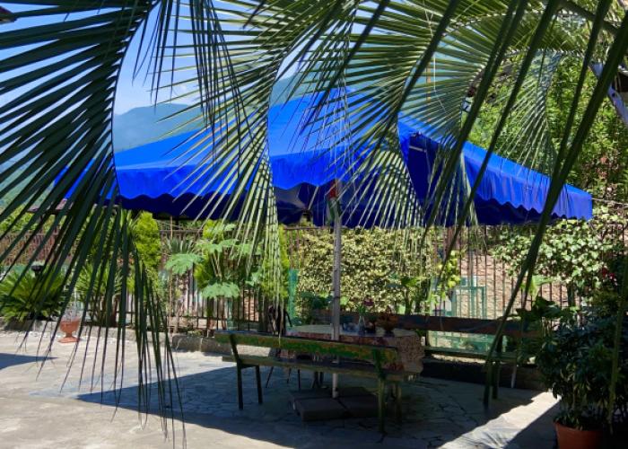 Anzhelika Guest House