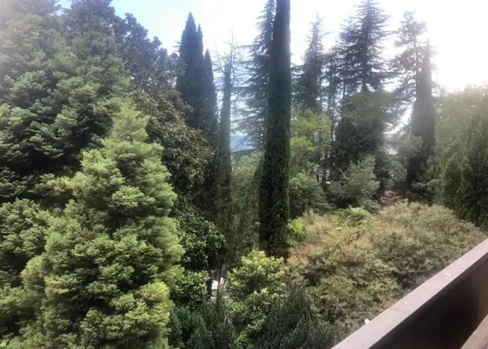 Gagra Hotel
